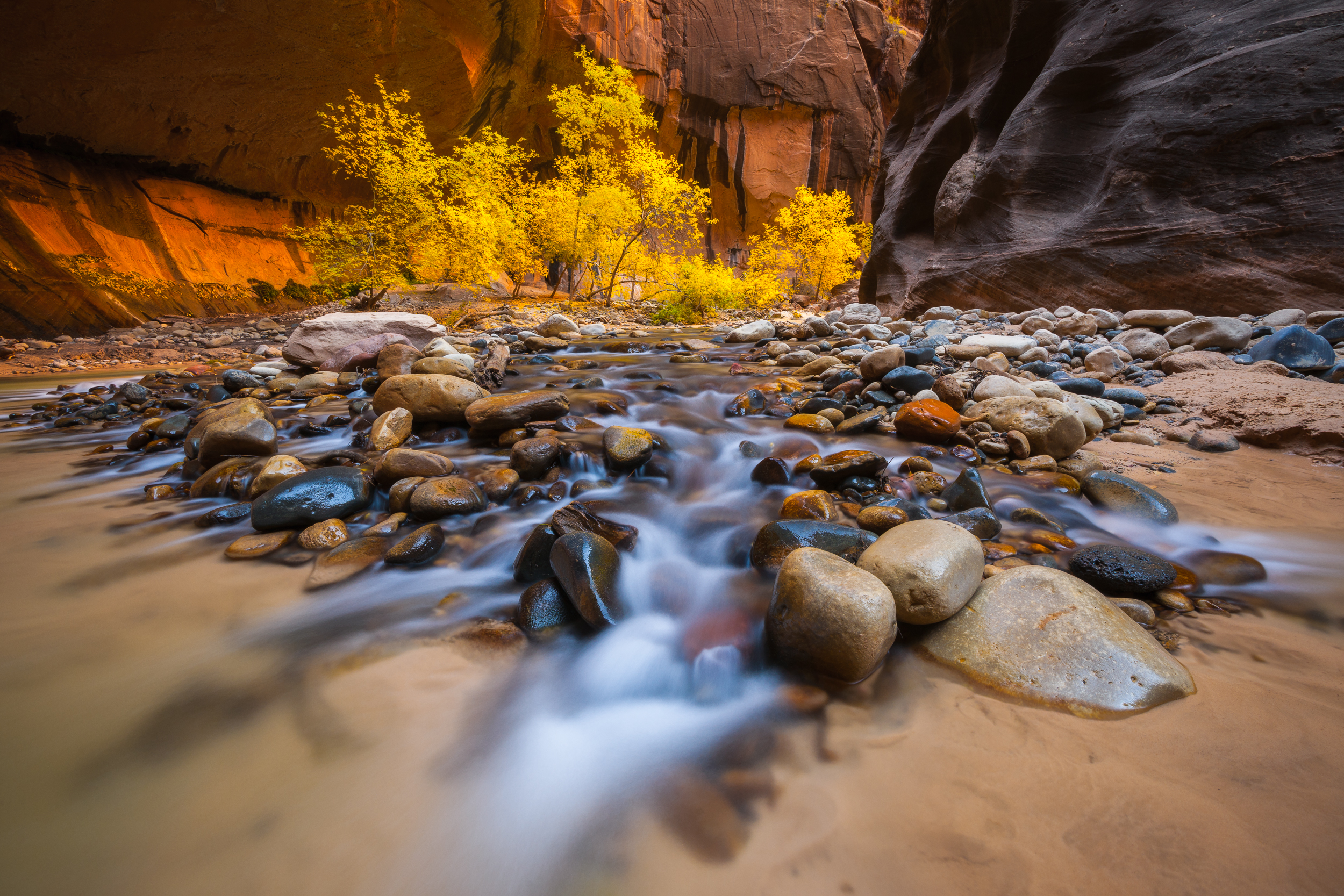 The Narrows, Zion NP