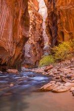 The Narrows, Zion NP