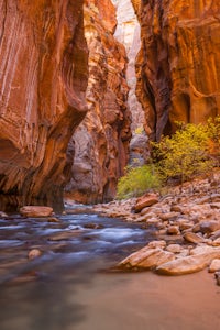 The Narrows, Zion NP