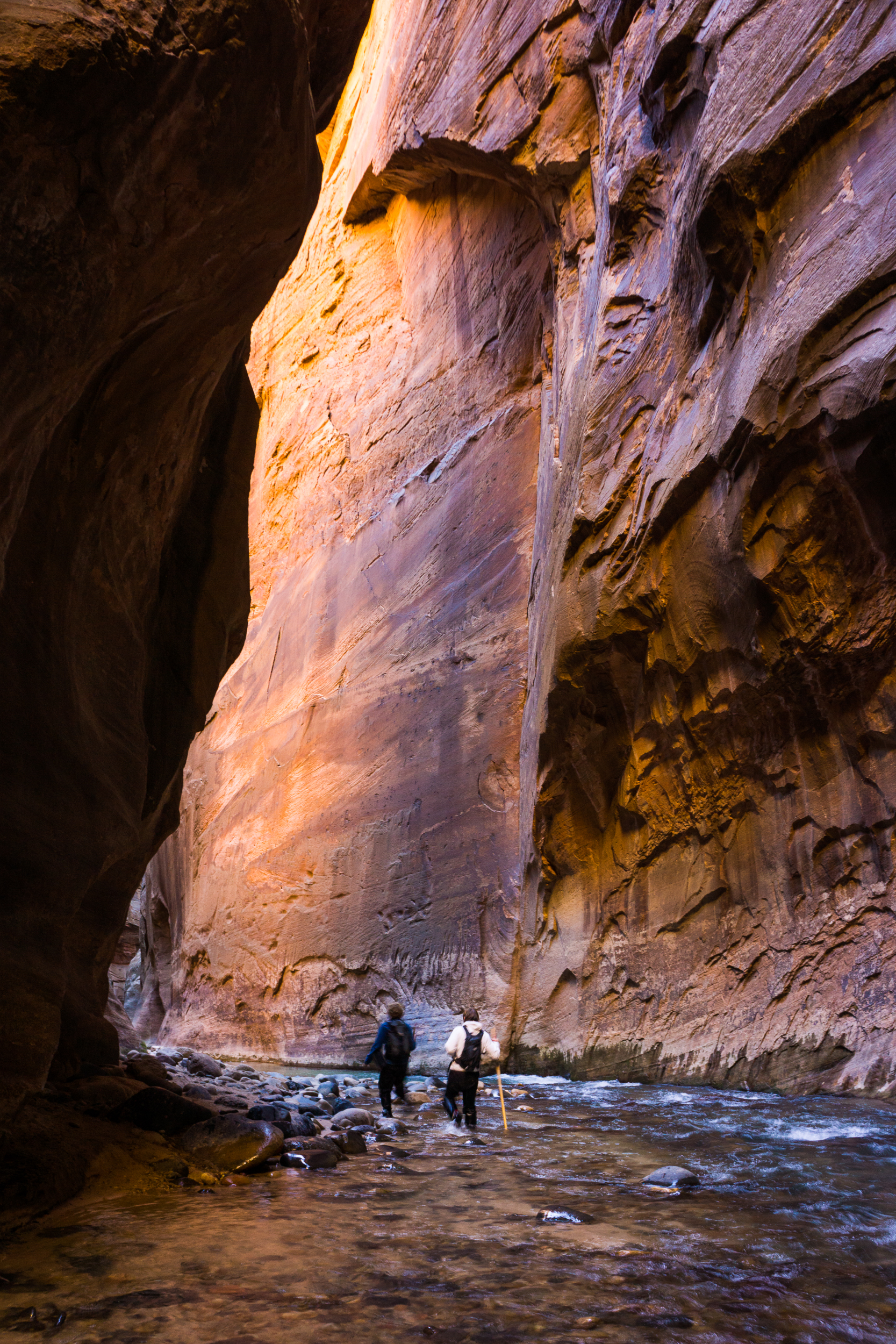 The Narrows, Zion NP