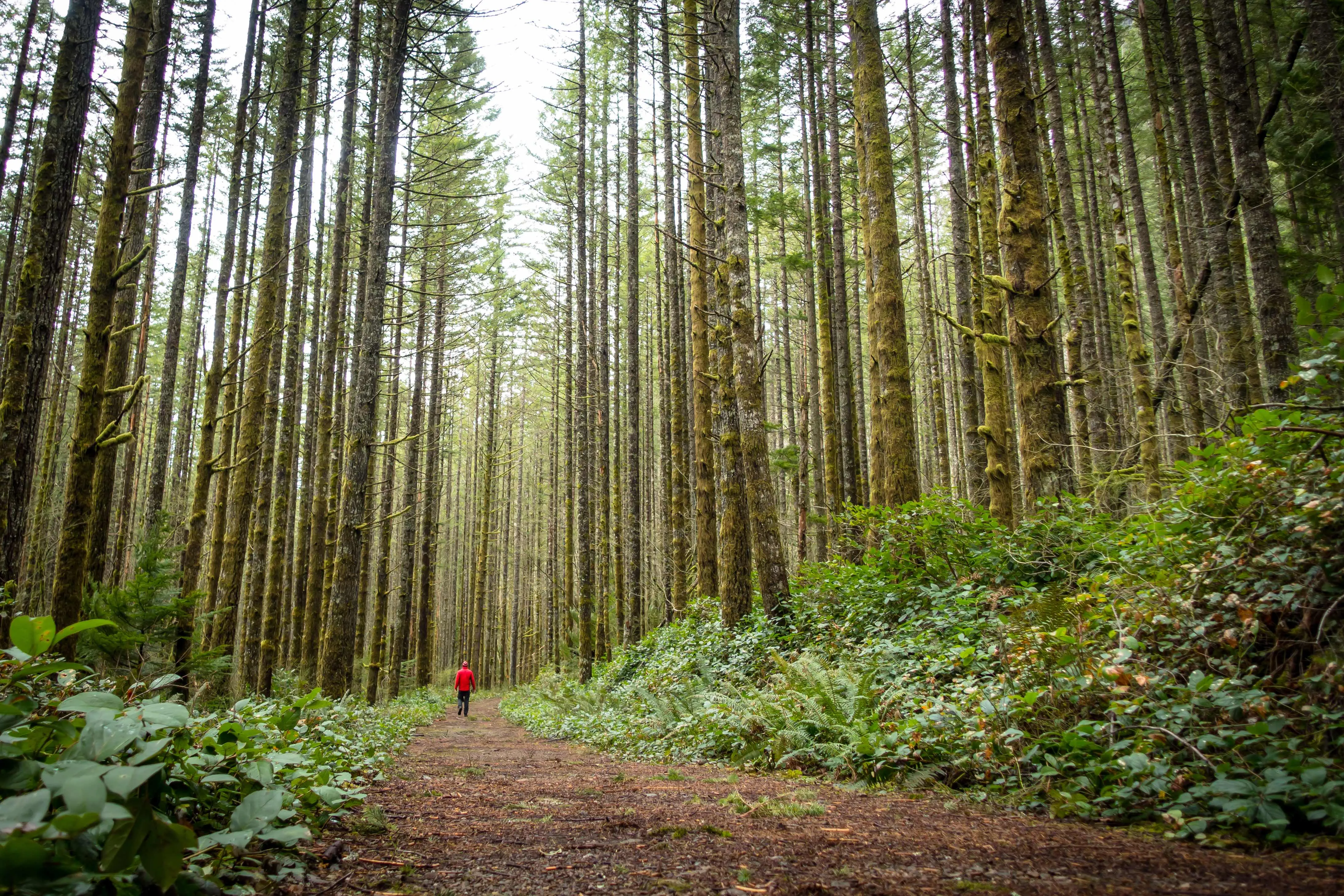 Rattlesnake Ledge