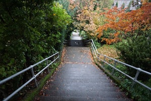 Howe Street Stairs