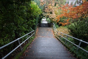 Run the Howe Street Stairs