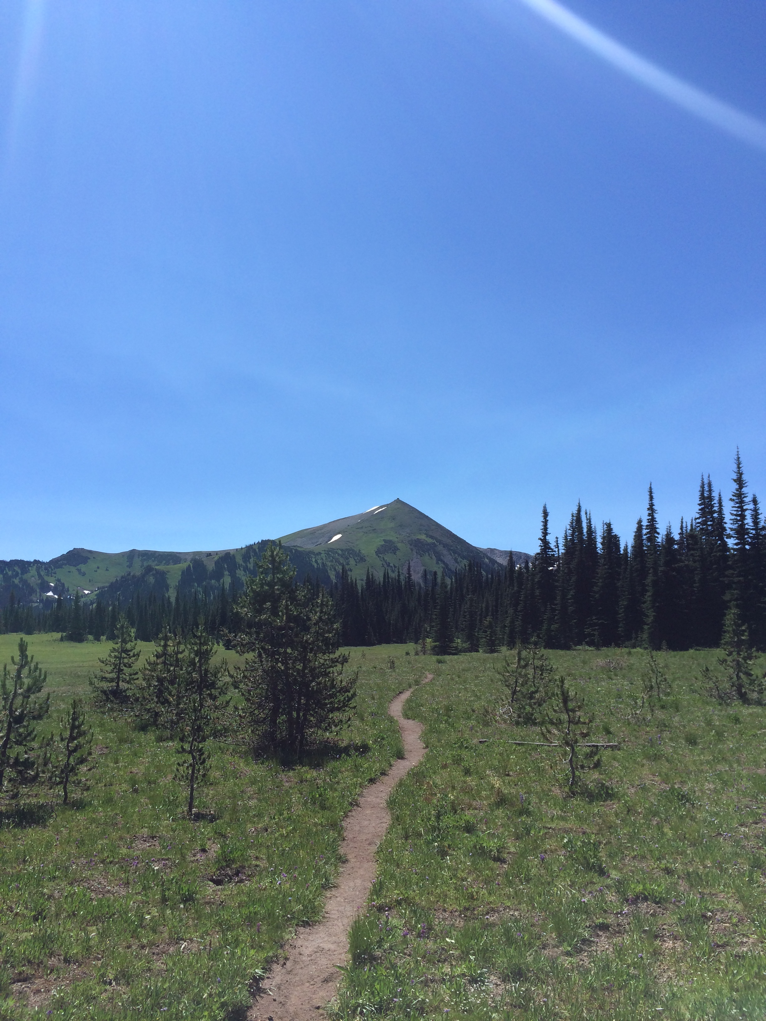 Hike Grand Park and Lake Eleanor 