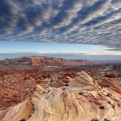 The Wave via Coyote Buttes North