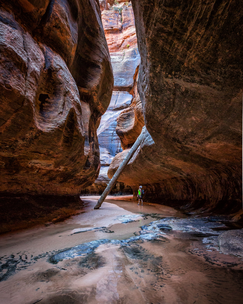 The Subway - Top-Down