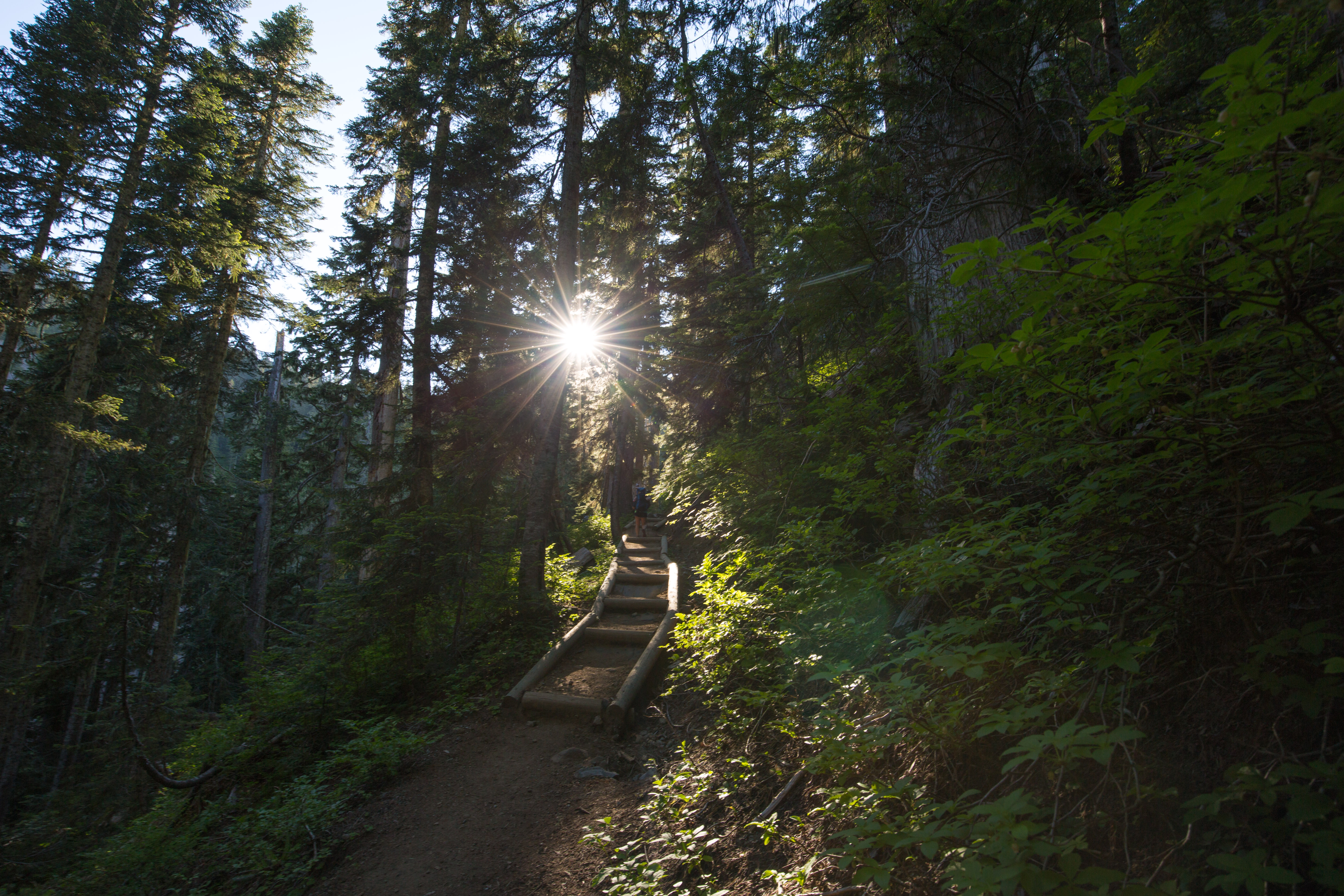 Park Butte Lookout