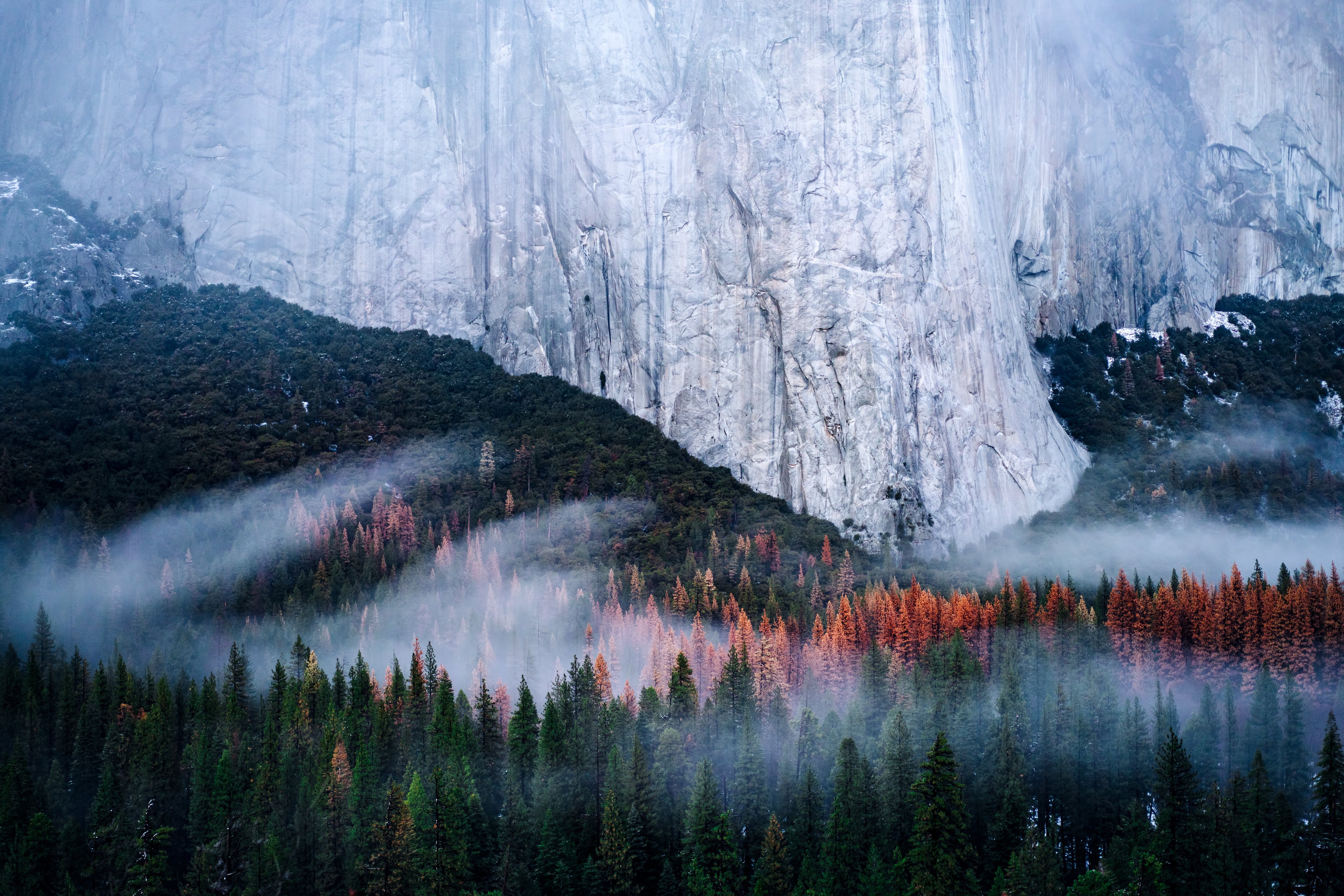 Photograph Yosemite's Tunnel View