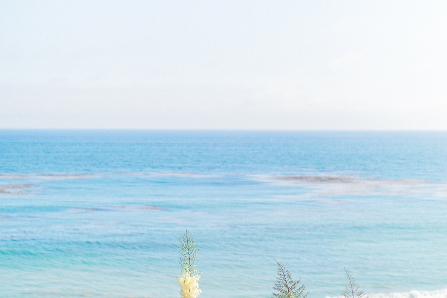Leo Carillo State Beach