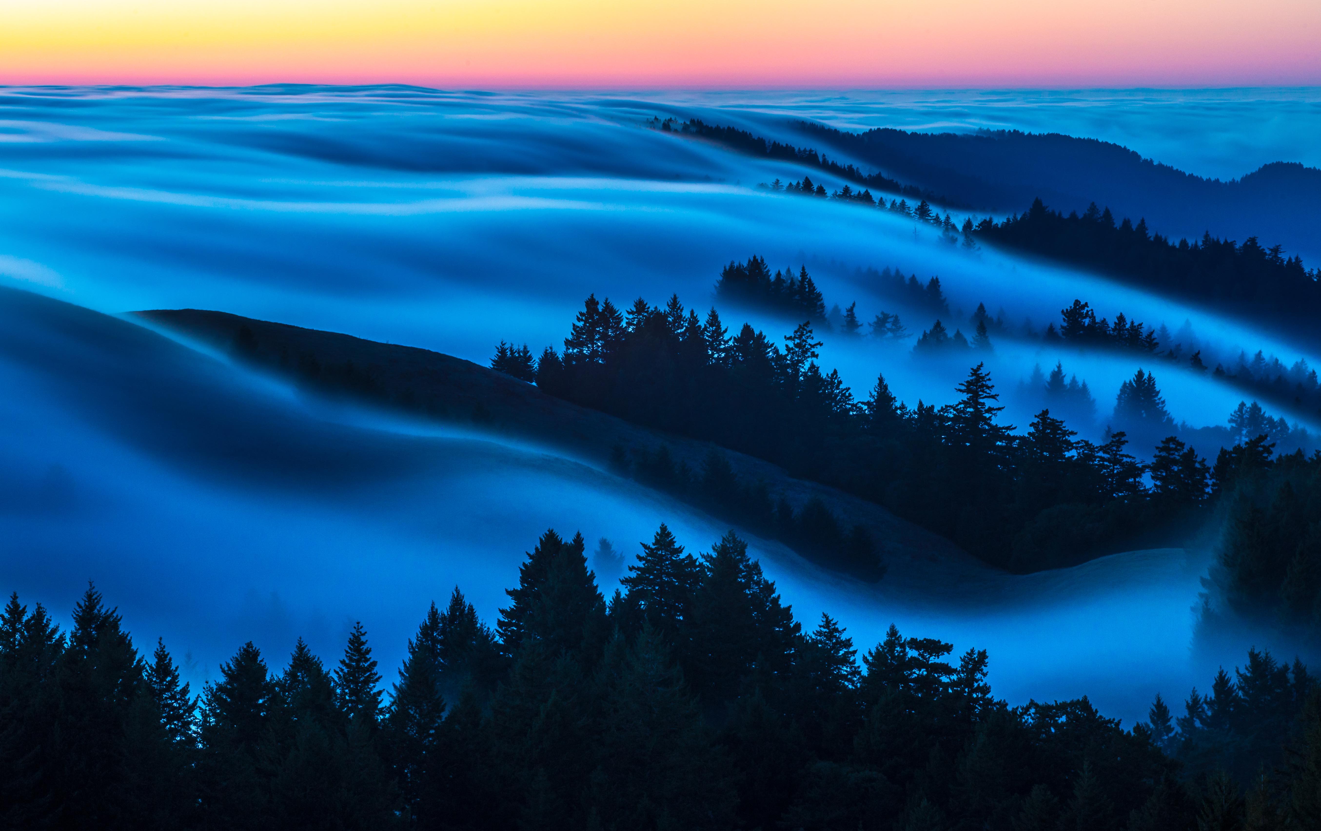 Mt. Tam's East Ridge