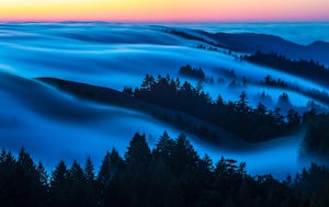 Picturesque Views from Mt. Tam's East Ridge