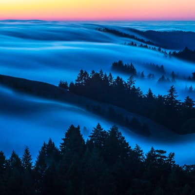 Picturesque Views from Mt. Tam's East Ridge