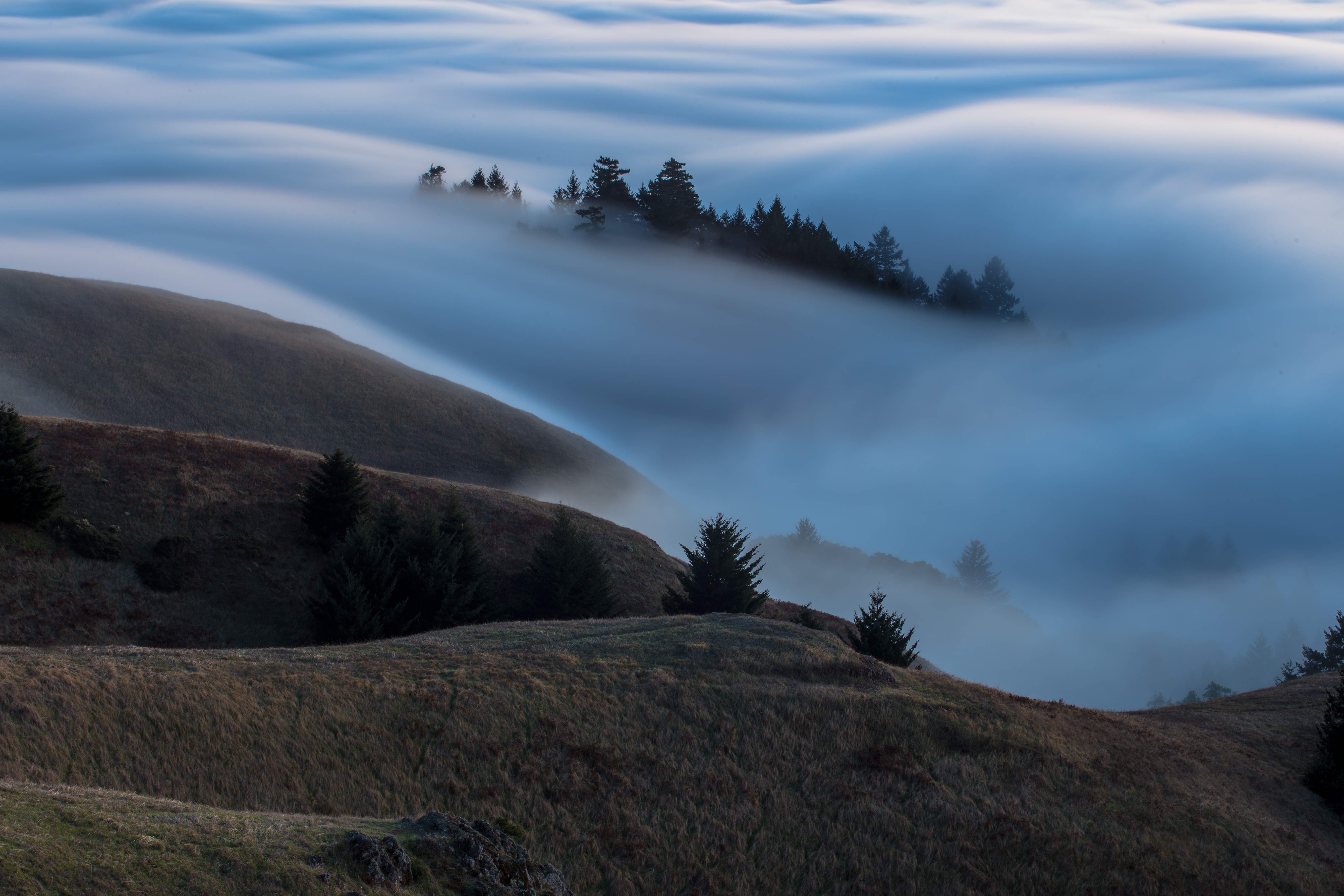 Mt. Tam's East Ridge