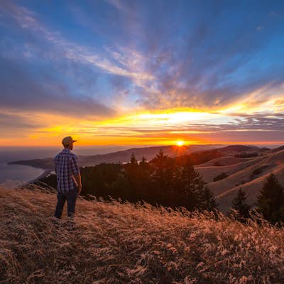 Picturesque Views from Mt. Tam's East Ridge