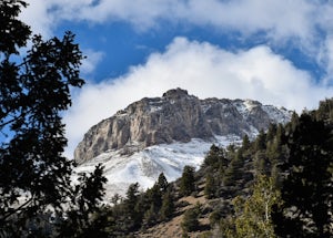 Hike to Lower Cedar Springs