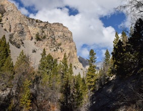 Hike to Lower Cedar Springs