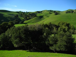 Briones Park's Lafayette Ridge 