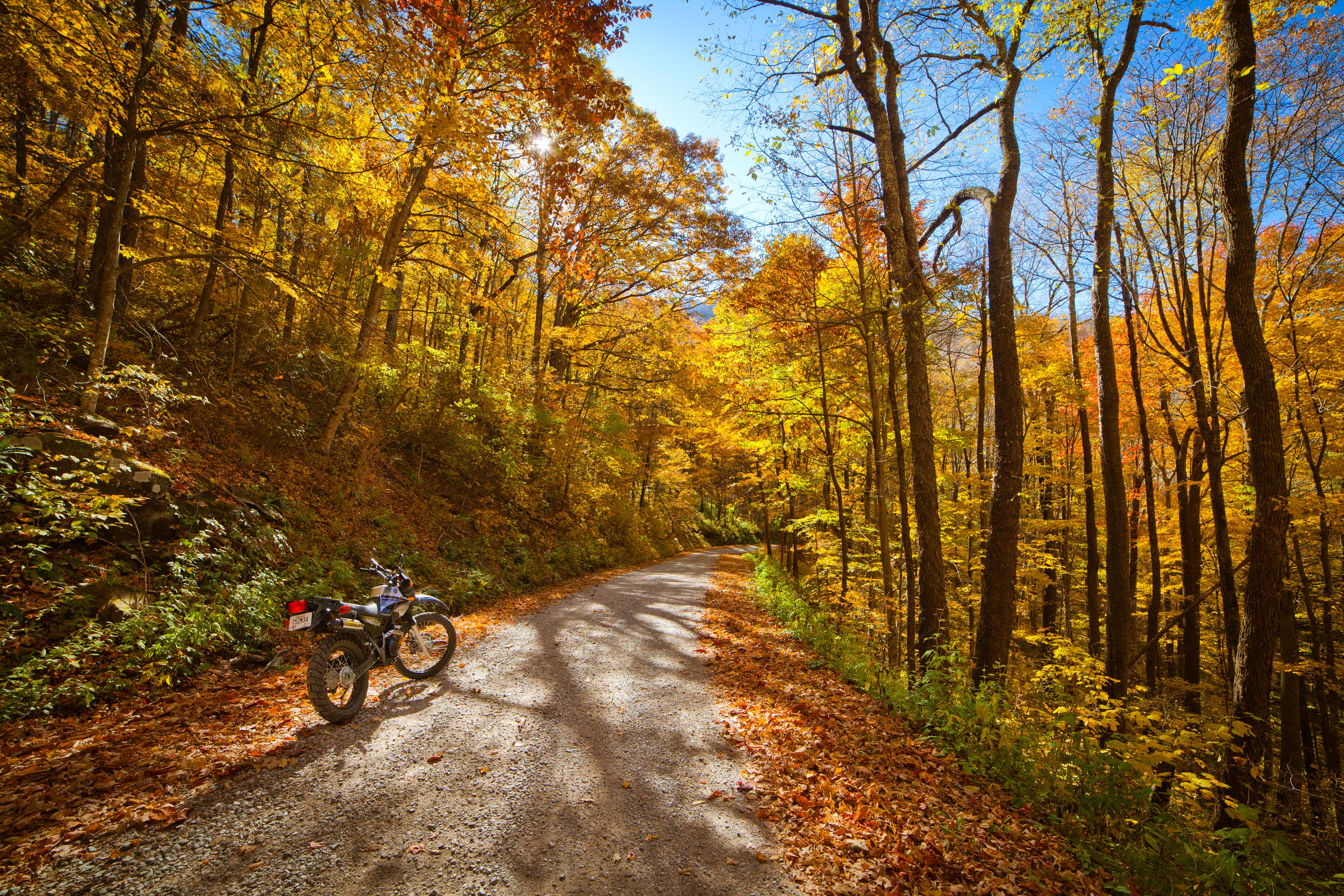 Explore North River Road
