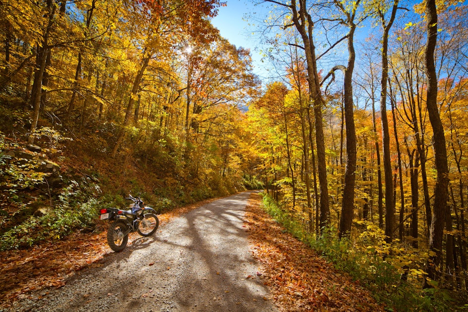Explore North River Road, Tellico Plains, Tennessee