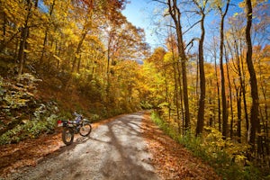 Explore North River Road