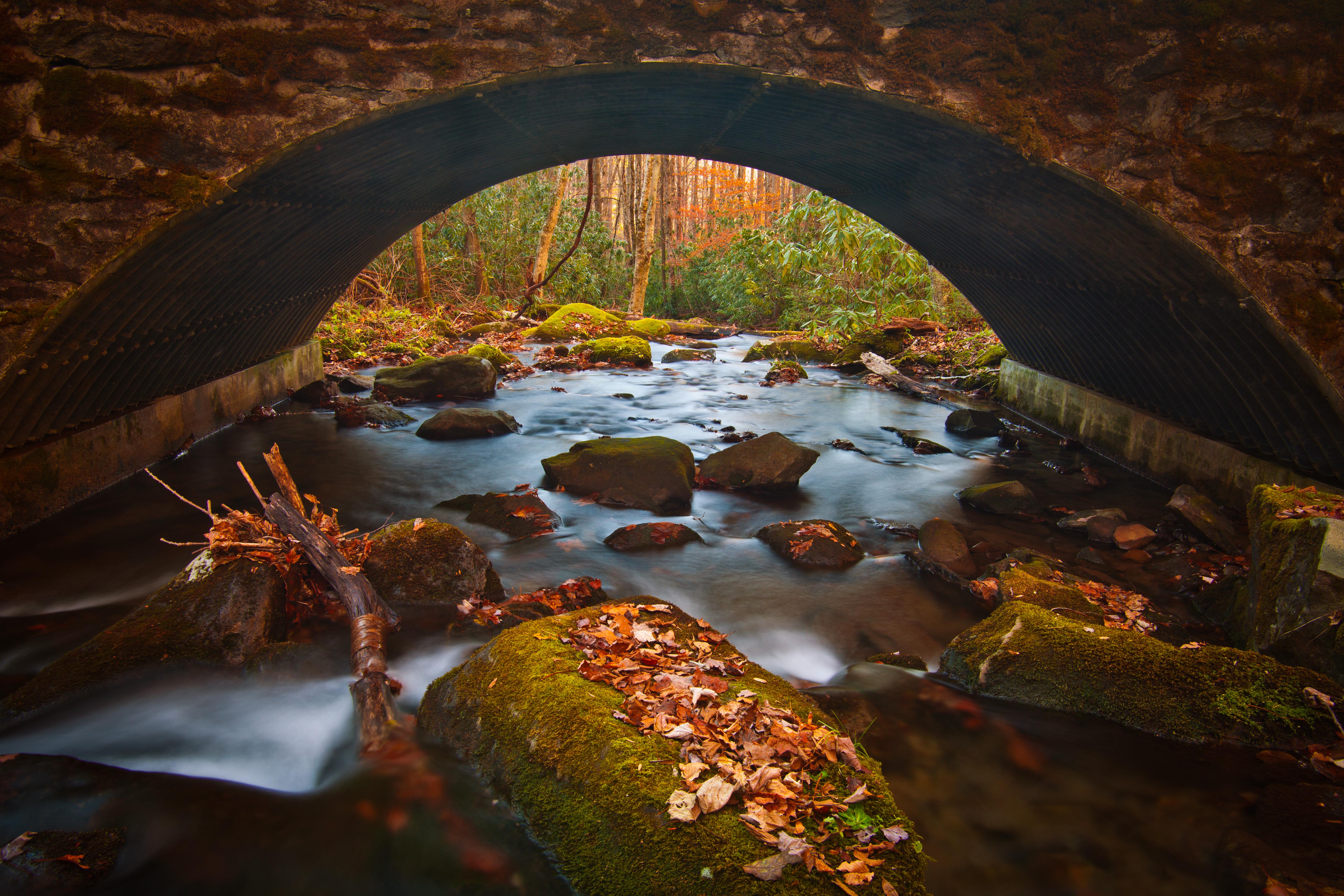 Explore North River Road