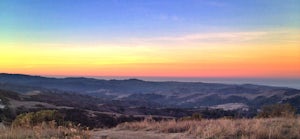 Windy Hill via Anniversary Trail Loop