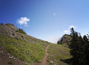 Klahhane Ridge (Switchback Route)