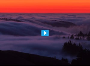Adrift: A Love Letter to the Fog of San Francisco