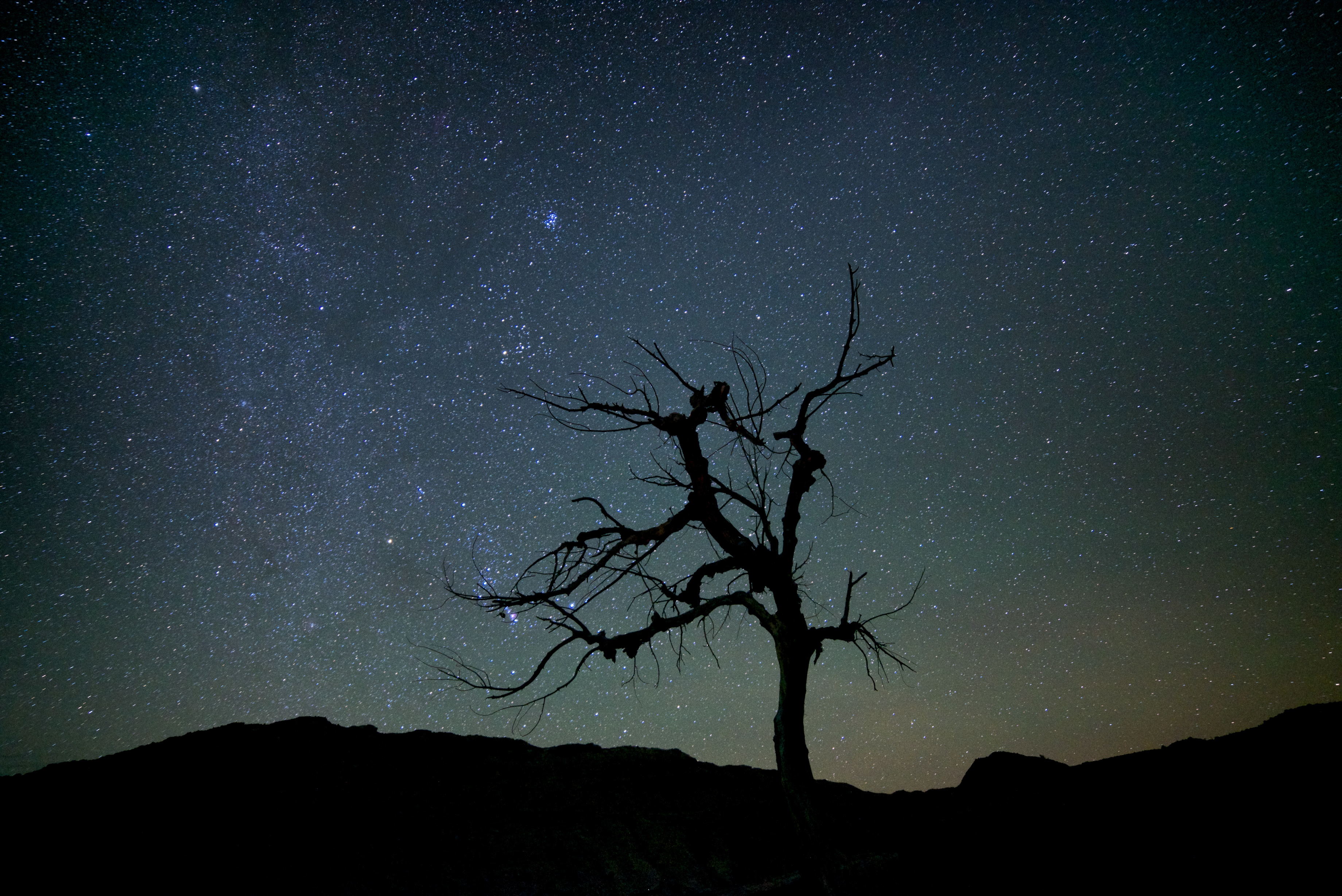 Camp in Capitol Reef National Park