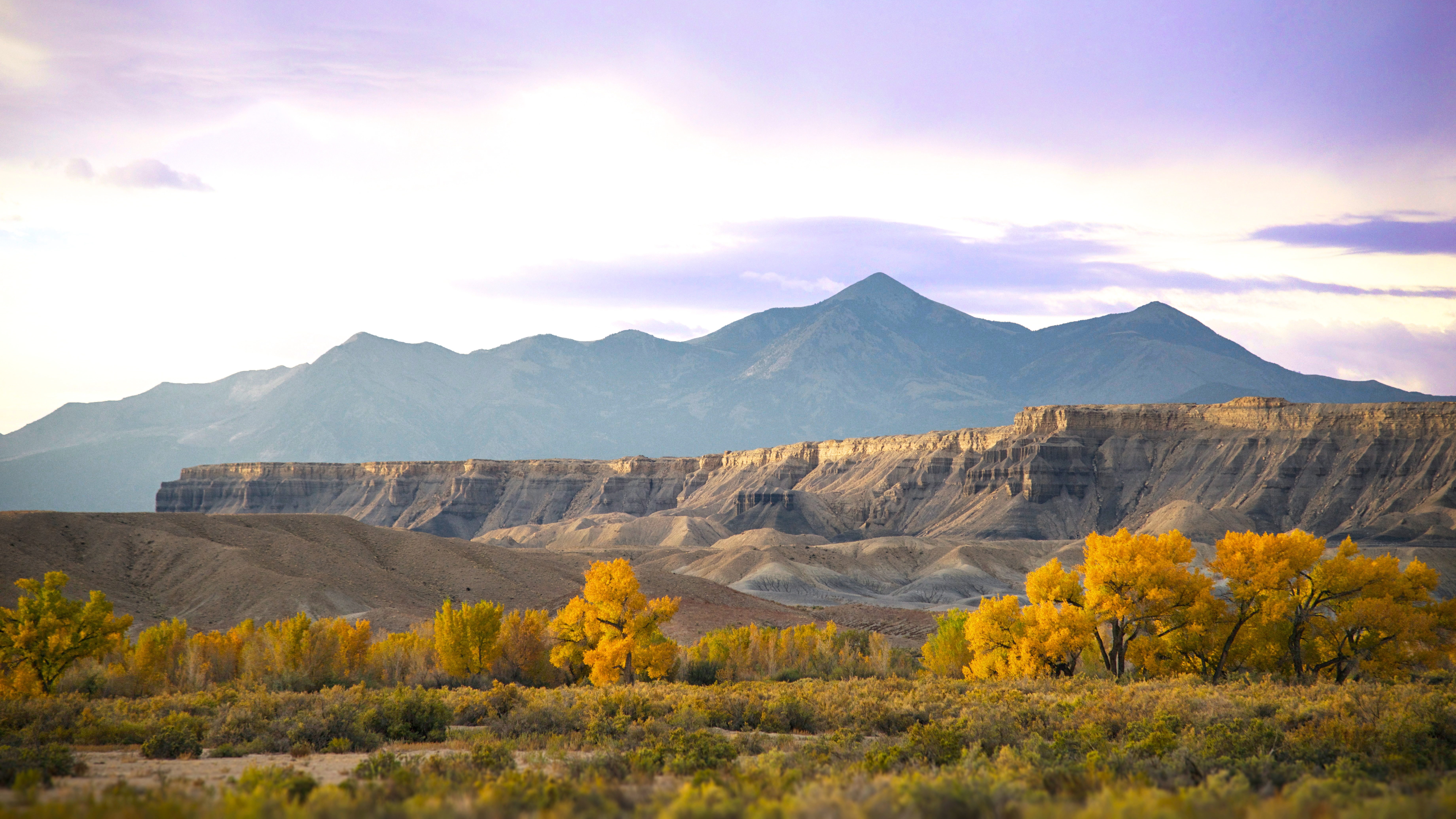 Camp in Capitol Reef National Park