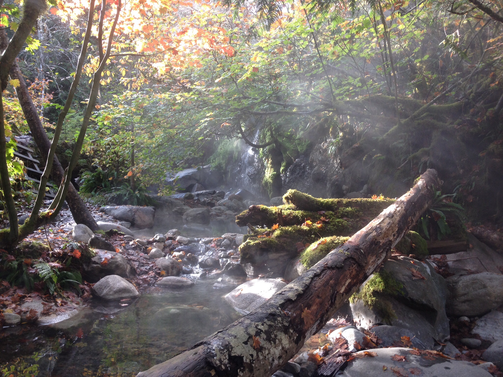 Relaxing at Sloquet Hot Springs