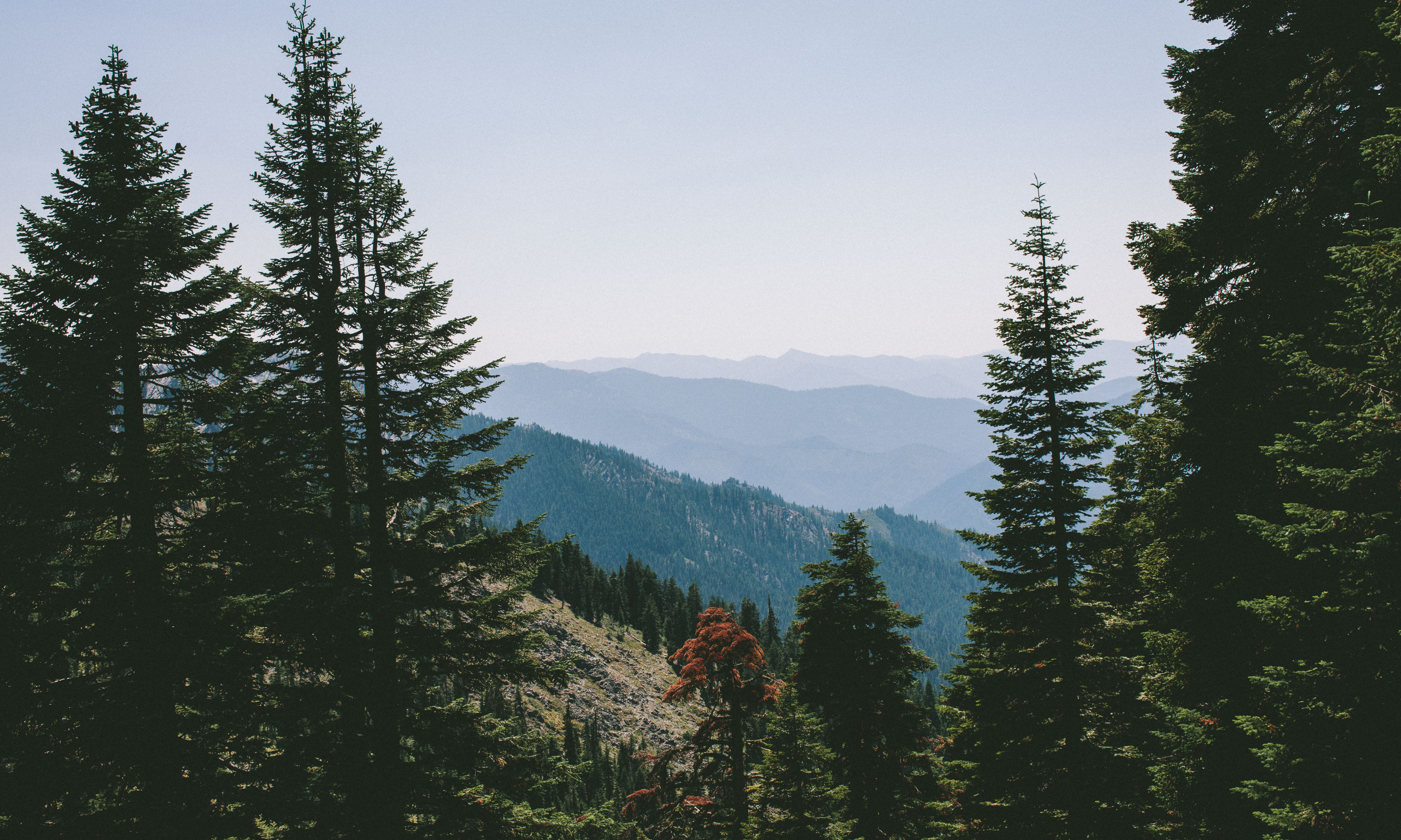 Hike to the Etna Mountain Summit