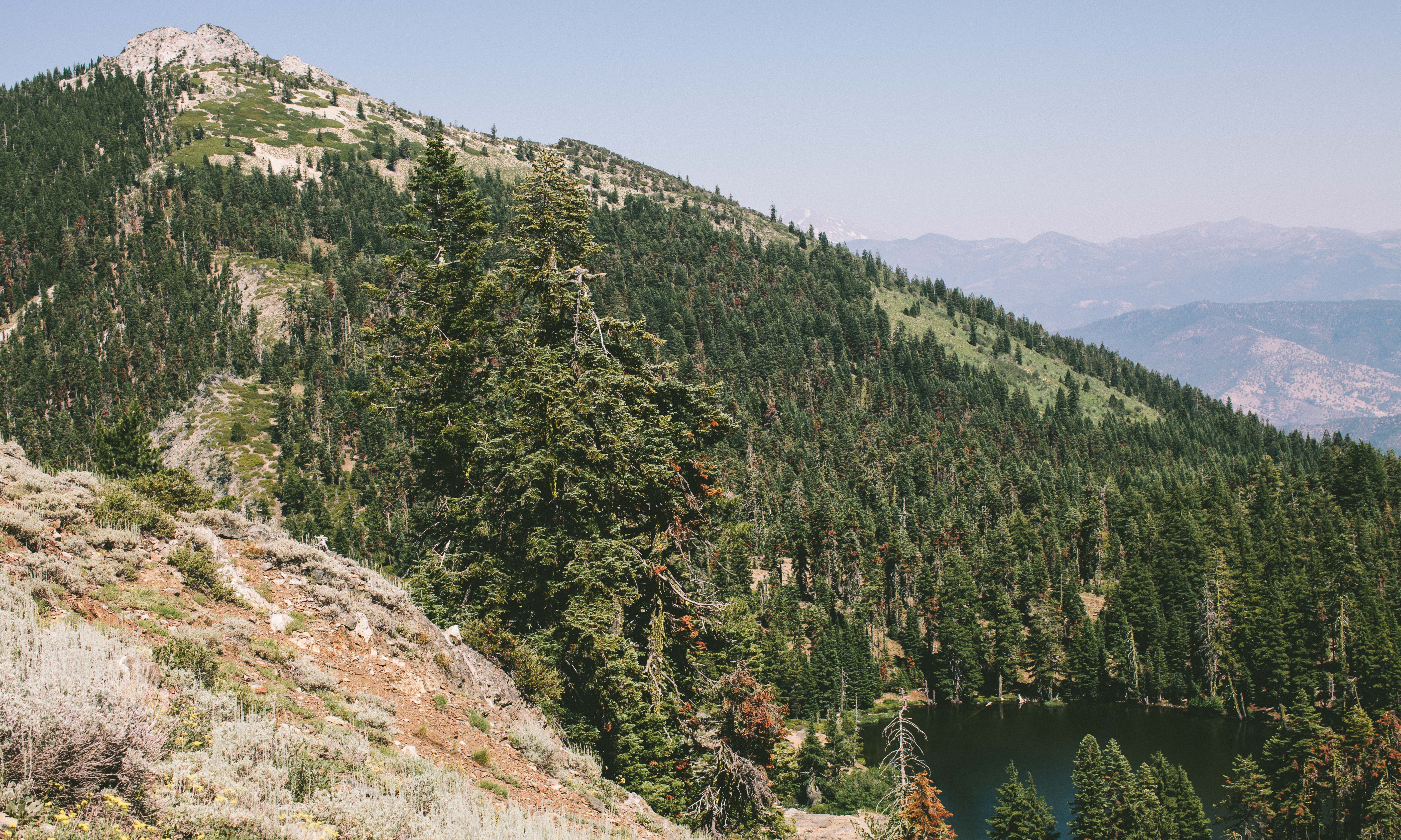 Hike to the Etna Mountain Summit
