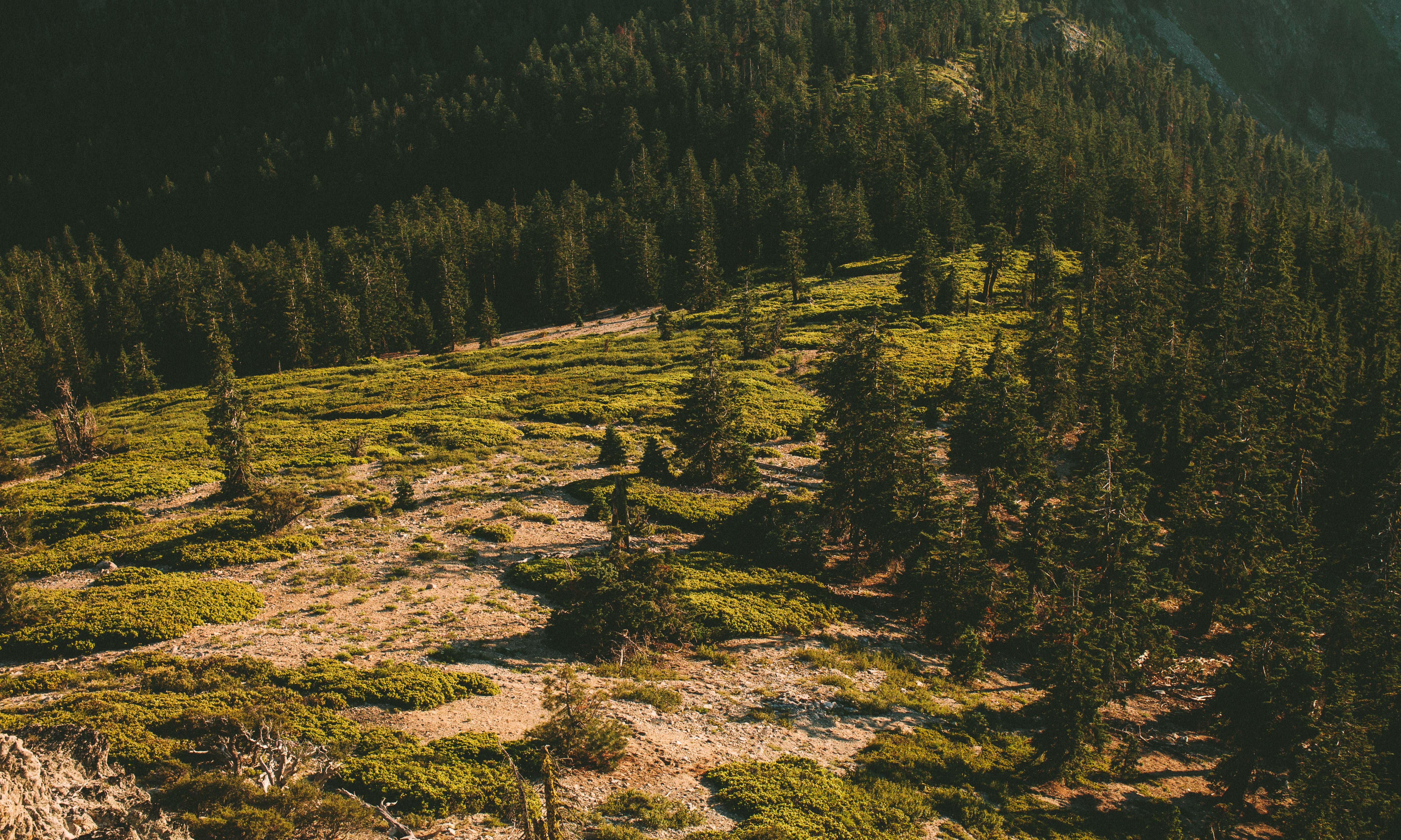Hike to the Etna Mountain Summit
