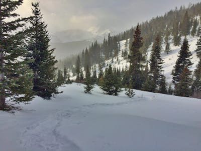 Snowshoe or Ski Watrous Gulch