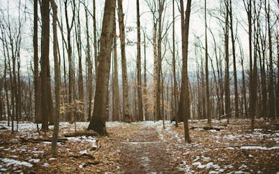 Hike Valley Forge