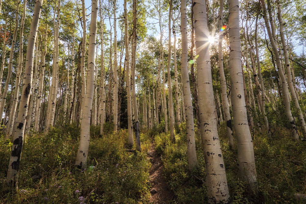 Hiking To Willow Lake