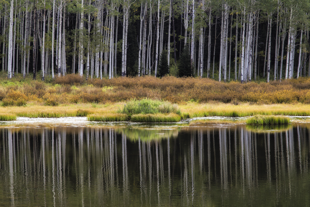Hiking To Willow Lake