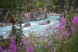 Hiking in Marble Canyon