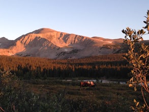 Hike Pawnee & Buchanan Pass Loop