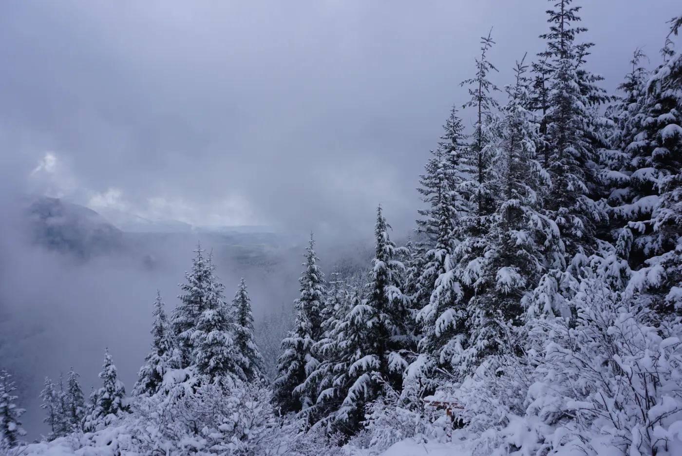 Rattlesnake Ledge