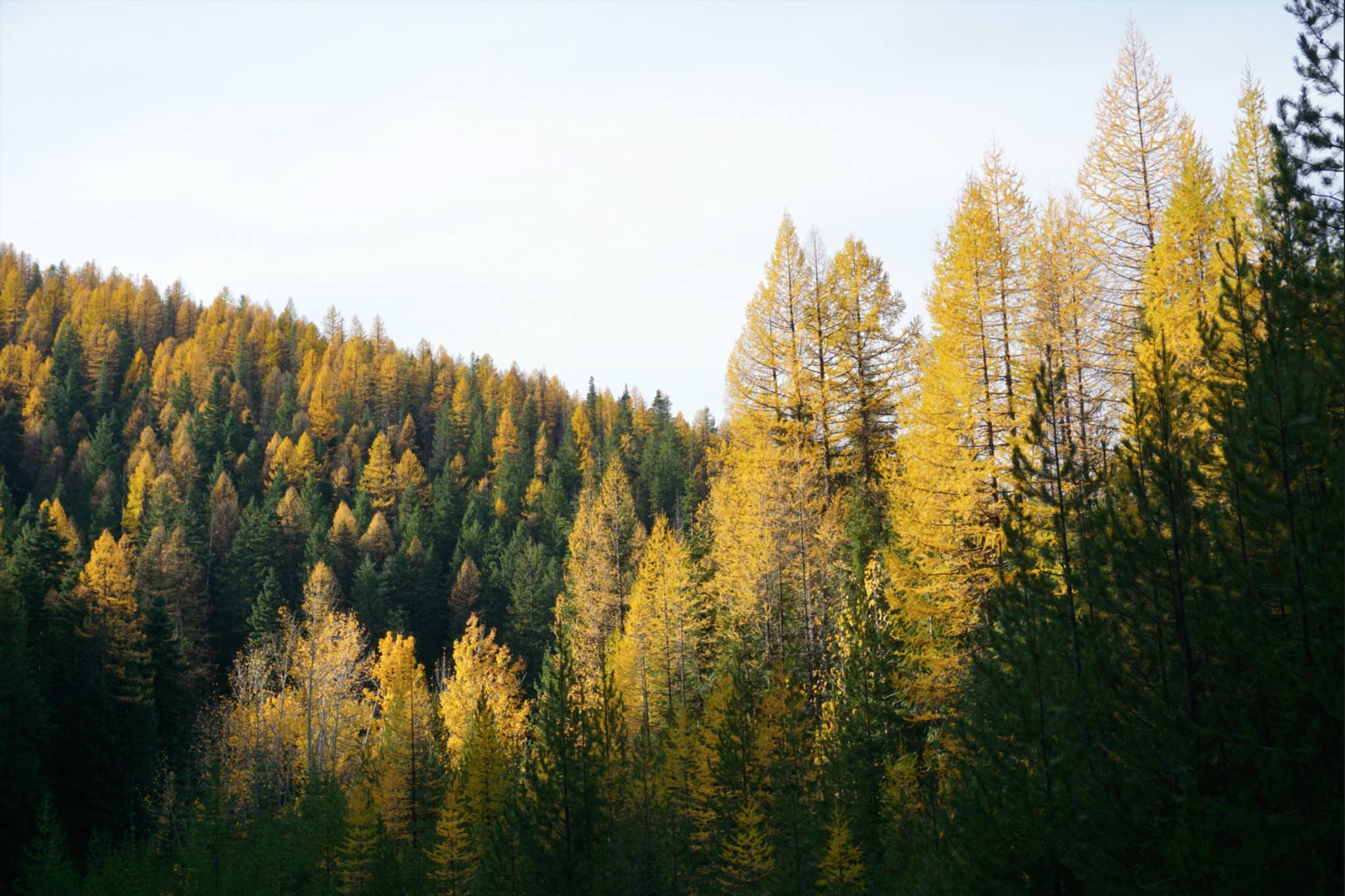 Stevens Lakes