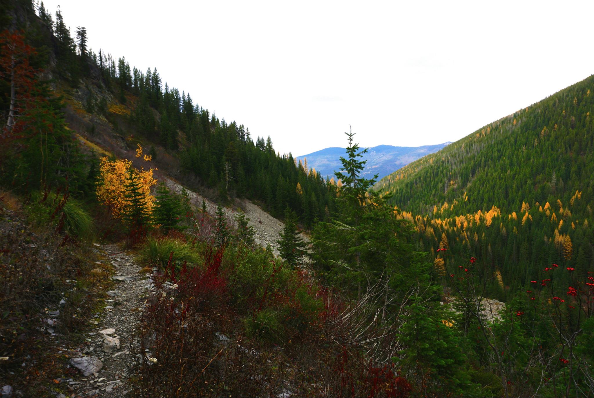 Stevens Lakes
