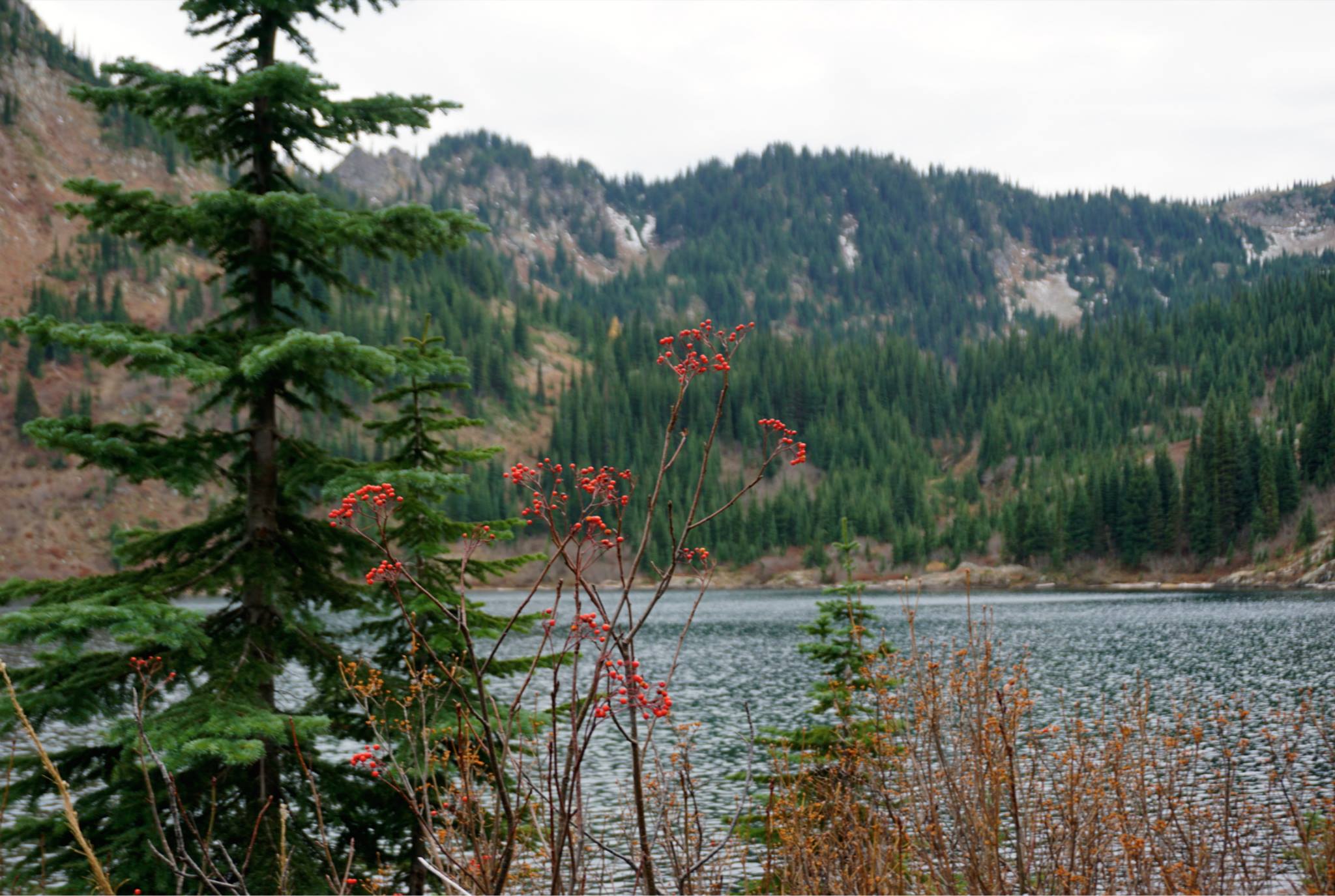 Stevens Lakes