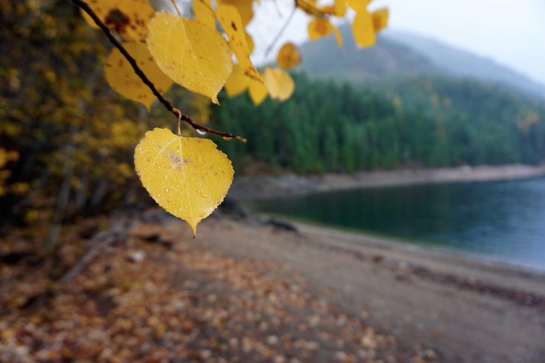 Hike along Sullivan Lake