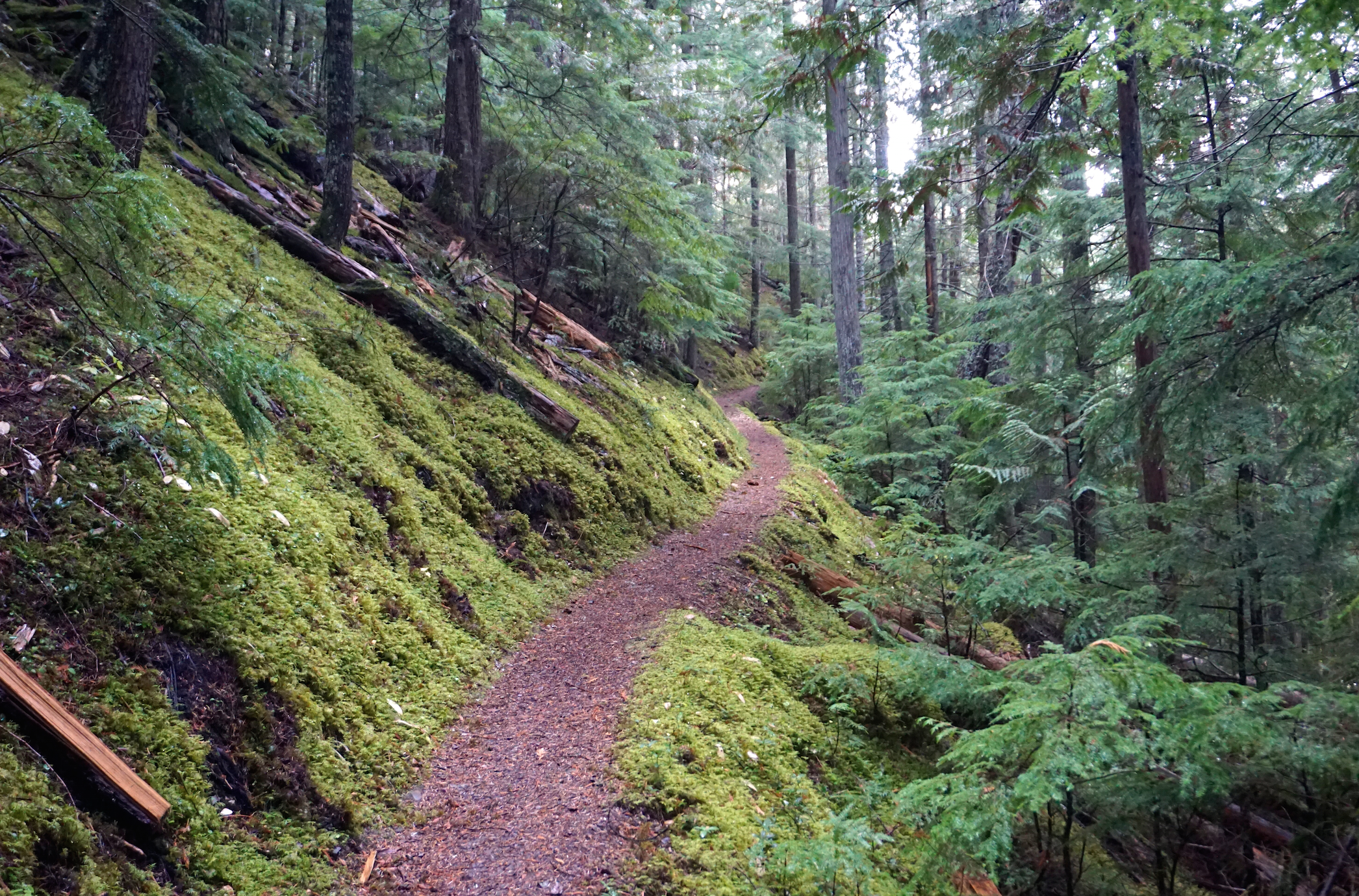 Hike along Sullivan Lake