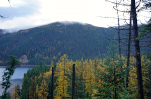 Hike along Sullivan Lake