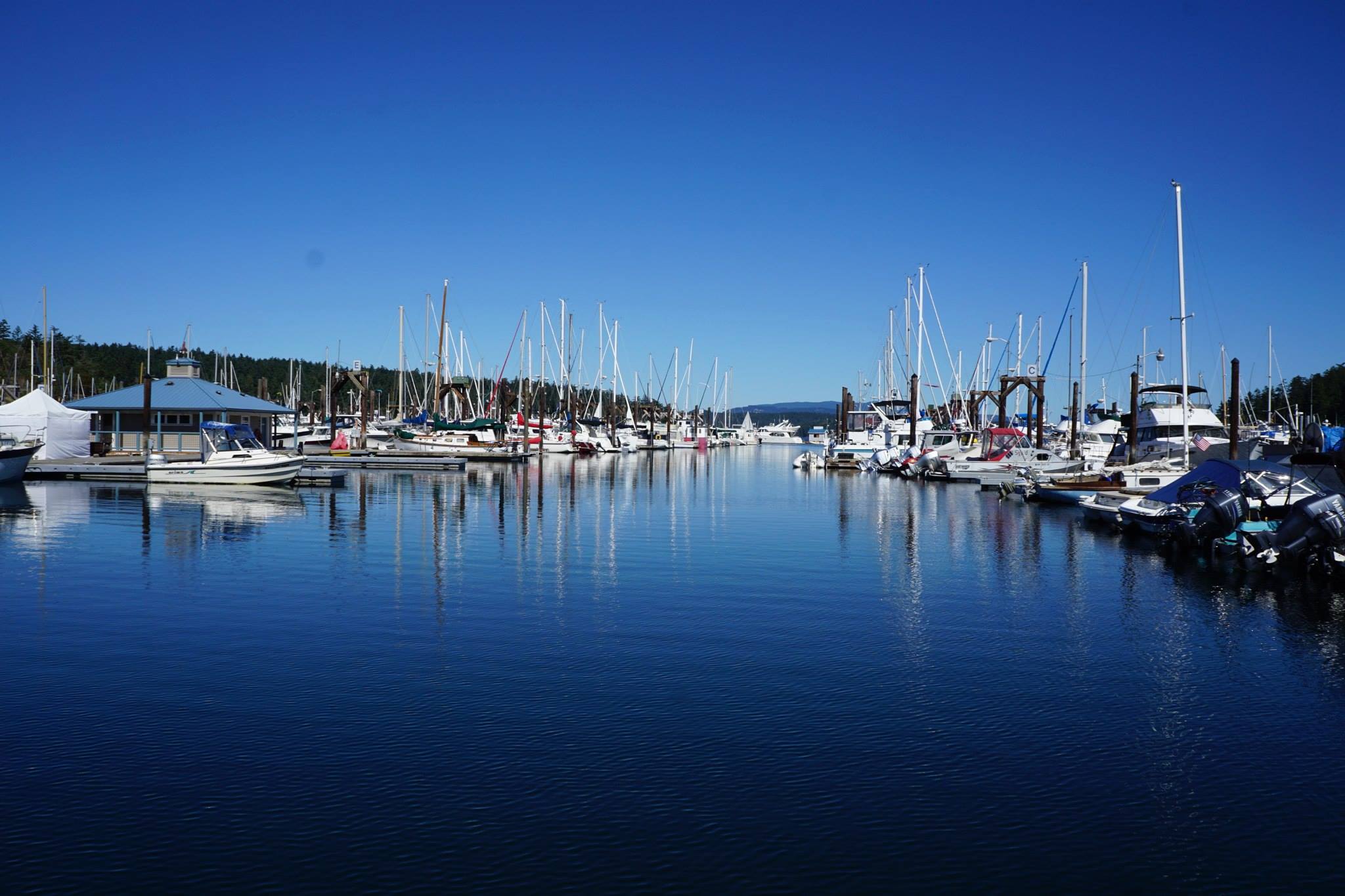 Boat Camp at Blakely Island