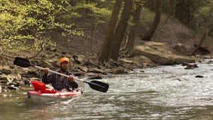 Paddle the Big South Fork of the Cumberland River