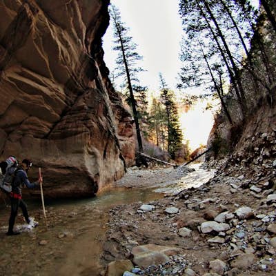 Backpacking the Narrows Top to Bottom